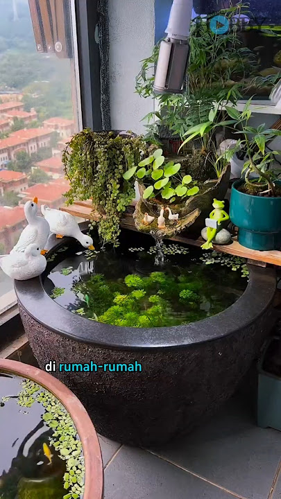 KOLAM MINI KEREN Cuma Dari Gentong Dan Baskom (ide kreatif)