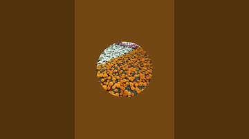 #satisfyingvideo #ytshorts#shorts#short#viral