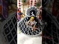 🦋राधे राधे लड्डु गोपाल जी नवरात्री श्रृंगार #shorts #ytshorts #laddugopal #radheradhe #viral #foryou