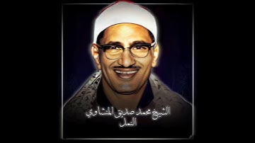 الشيخ محمد صديق المنشاوي| سورة النمل
