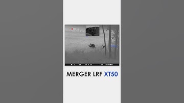 Merger LRF XT50: a must-have for its seamless performance and superior adaptability. #pulsarvision