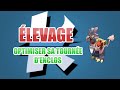 [Dofus] 10 Astuces pour optimiser votre élevage