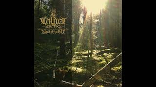 Calnek - Shadows at Dusk