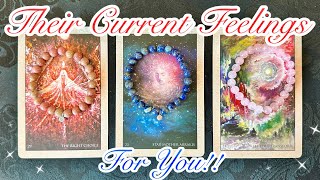 🥰How Are They FEELING About You Now?? 💖🌹🫶🏻❤️‍🔥 *Pick A Card* Timeless Psychic Love Tarot Reading