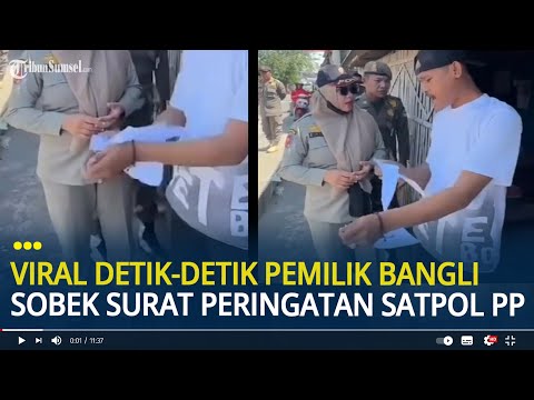 Porno kanal playboy tv