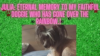 Julia: Eternal memory to my faithful doggie who has gone over the rainbow.