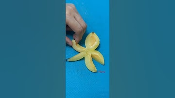 Thumbnail of APRICOT FLOWER ART & DESIGN 012 #shorts #trending #youtubeshorts #viral