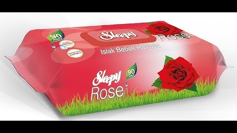 Wet towel packaging machine