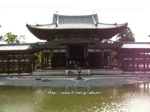 平等院は、藤原一族の栄華を今に伝える平等院は、宇治川の西岸にあった源融の別荘を藤原道長が譲り受け、その子頼通が寺に改めたもの