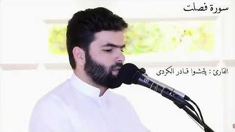 القران الكريم بصوت جميل جدا جدا/ سورة فصلت {كاملة} بصوت القارئ : پێشەوا قــادر الكردى 💙