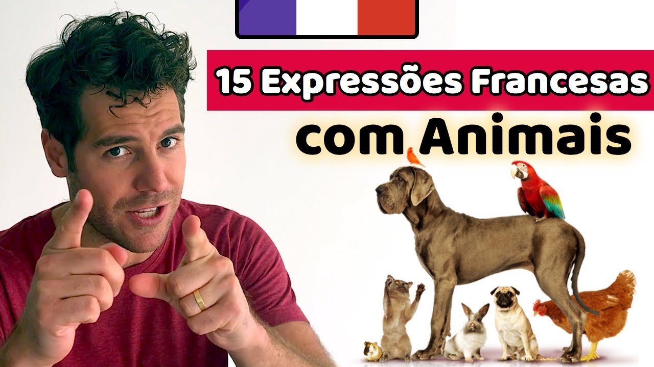 15 Expressões com Animais em Francês (Parte 1/2) | Afrancesados
