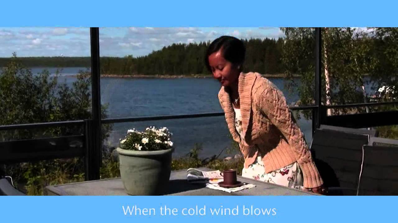 Adjustable Glass Railing by Svalson North America