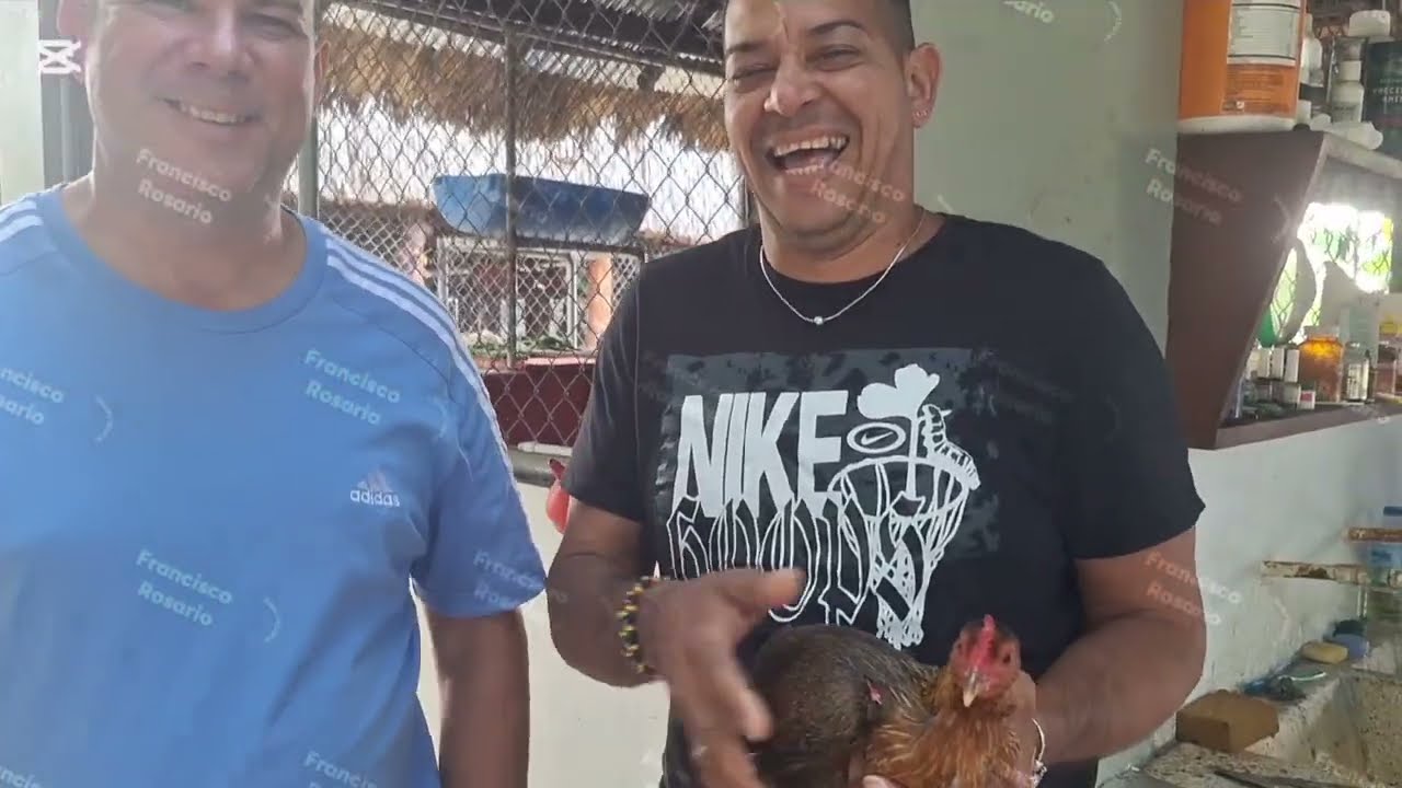 JAVIER NIEVES TAMBIÉN TIENE PAVAS, AUNQUE NO LE GUSTA ENFRENTARLOS  // PARTE 1