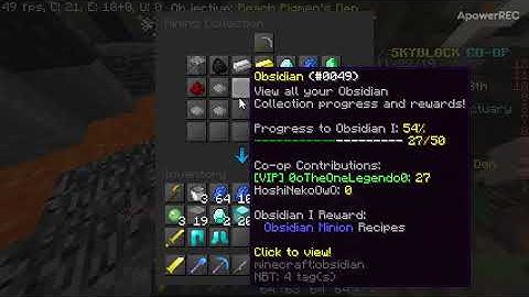 Hypixel SkyBlock Bug? You can