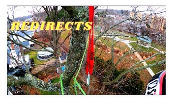 InDisTREE Talk  *redirects*