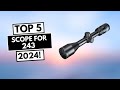 Top 5 Best Scope For 243 In 2024!🔥