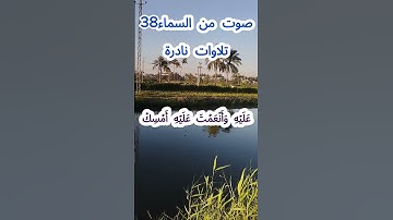 صوت من السماء 38 # تلاوة نادرة #قرآن #قران_كريم #قران #قرآن_كريم #اكسبلور #الشيخ مبارك  #الشيخ