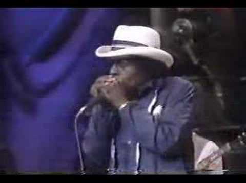Junior Wells - Trouble no more- Lonesome Pine 1987