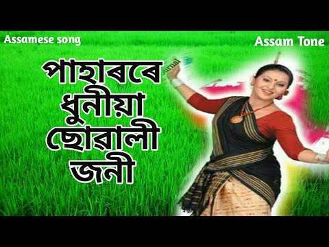 Paharore Dhuniya Suwali joni by SIMANTA SHEKHAR  assamese songAssamTone 2018