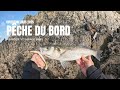 PÊCHE DU BAR EN BRETAGNE ET OUVERTURE BROCHET (MA SÉLECTION LEURRES) EP.1
