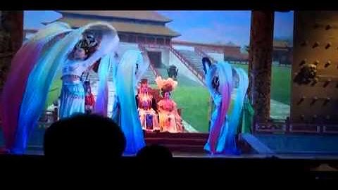Tang Dumpling Dinner Show