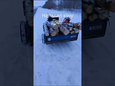 На мотоблоке за