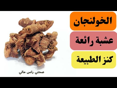 الخولنجان و فوائده الطبية الصحية الرائعة عشبة لابد ان تتناولها كل يوم
