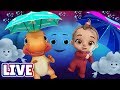 Humpty Dumpty Sat On A Wall plus More Nursery Rhymes & Songs For Babies - Live Stream