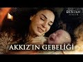 Akkzn gebelii  destan zel kolaj