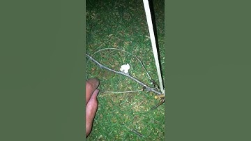 Wire rat/squirrel snare