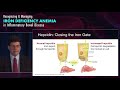 Understanding Iron Deficiency Anemia in Gastroenterology: Who and Why?