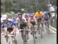 Tour de Francia 1993 - Etapa 15 (Andorra / Pal)