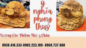 BÁO GIÁ Tượng Cóc Thiềm Thừ Gỗ Mun Đuôi Công- Ý Nghĩa Phong Thuỷ Tượng Cụ Cóc Thiềm Thừ 3 Chân