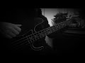 ベースで弾いてみた。『 ミレニアム / ACIDMAN 』bass cover