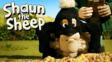 Wanted | Shaun the Sheep Season 5 | Full Episode