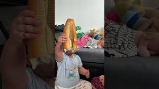 DÂU TÂY ĂN BÁNH #shortvideo #bolerohay #nhacbolero #funny #baby