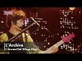L'Archive|Wings Flap