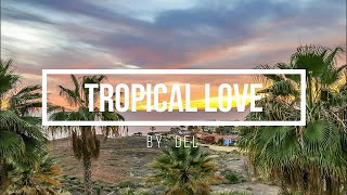Del - Tropical Love (Vlog No Copyright Music)