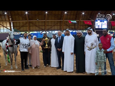 خيول الحريسة الملكية بوزنيقة تتألق في ختام كأس الإمارات العالمي لجمال الخيل العربية بالمغرب