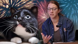The Problem With Fireworks… @AlveusSanctuaryHighlights