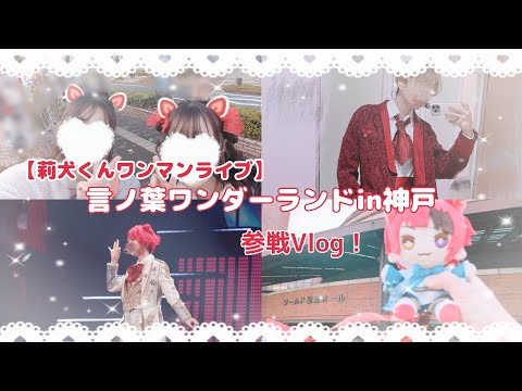【莉犬くんワンマンライブVlog】言ノ葉ワンダーランドin神戸❤️🐶📖