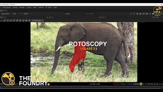 How to do rotoscopy in Foundry Nuke X | Foundry Nuke X for beginners (class 2) | BAJRANGI VFX