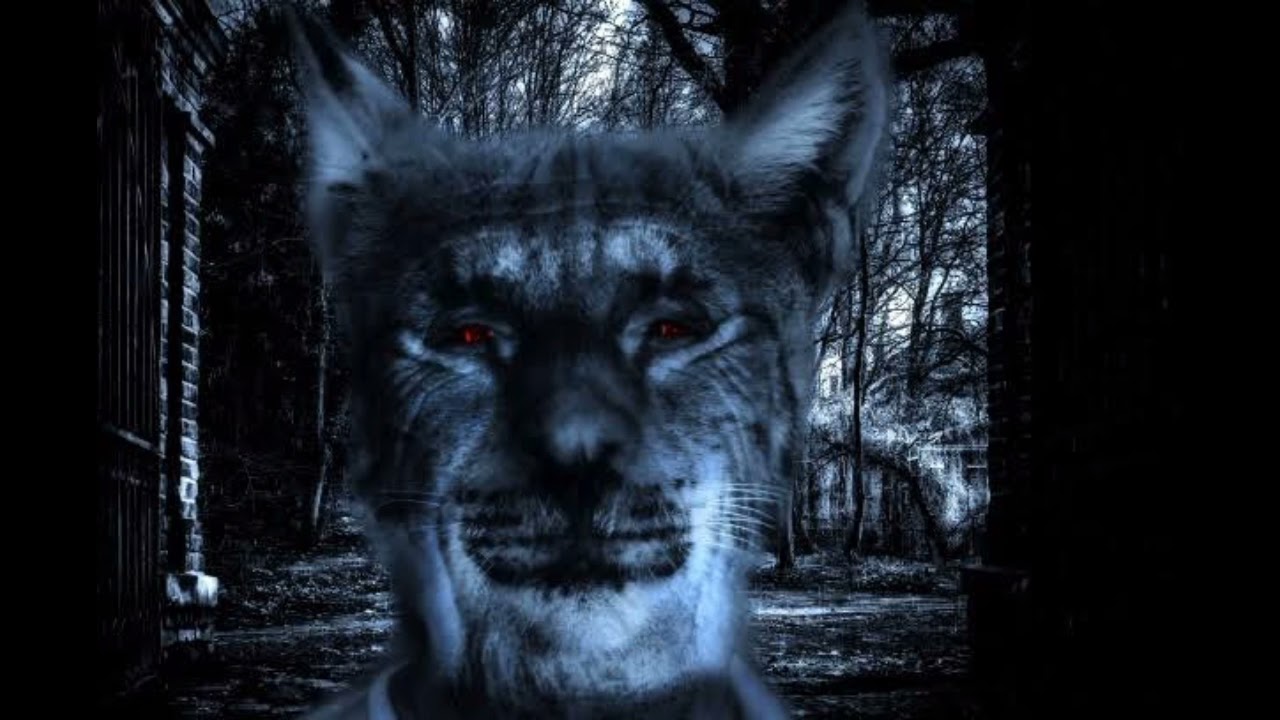 [Free]Dark Aggressive Rap Beat || The Aj Beats || New Rap Beat 2021