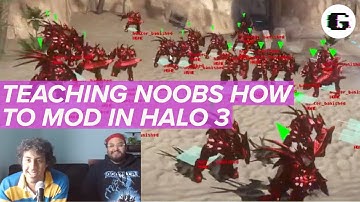 The Basics | Learn Halo Modding #1