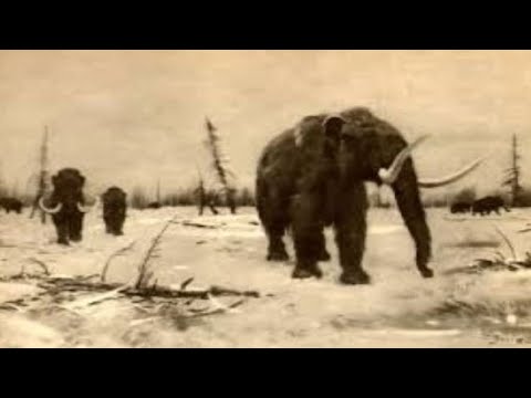 Video: Siberian Mammoths - Alternative View