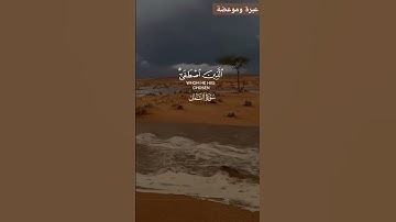 سورة النمل #اكسبلور #لايك
