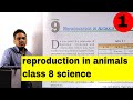 reproduction in animals class 8 science || ncert/cbse class 8 science chapter 9 part 1