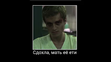 Немного чёрного юмора или краткий пересказ сойки-пересмешницы