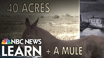 40 Acres and a Mule