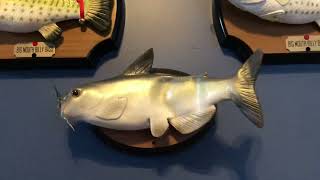 2021 Bonelop custom Cool Catfish - take me to the river!